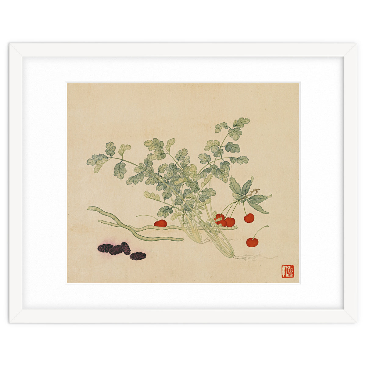 Wang Chengyu~flowers And Vegetables, Vegetables, Fruits, Beans, Red Beans, Cherries, Celery