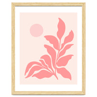 Mid Century Pink Garden