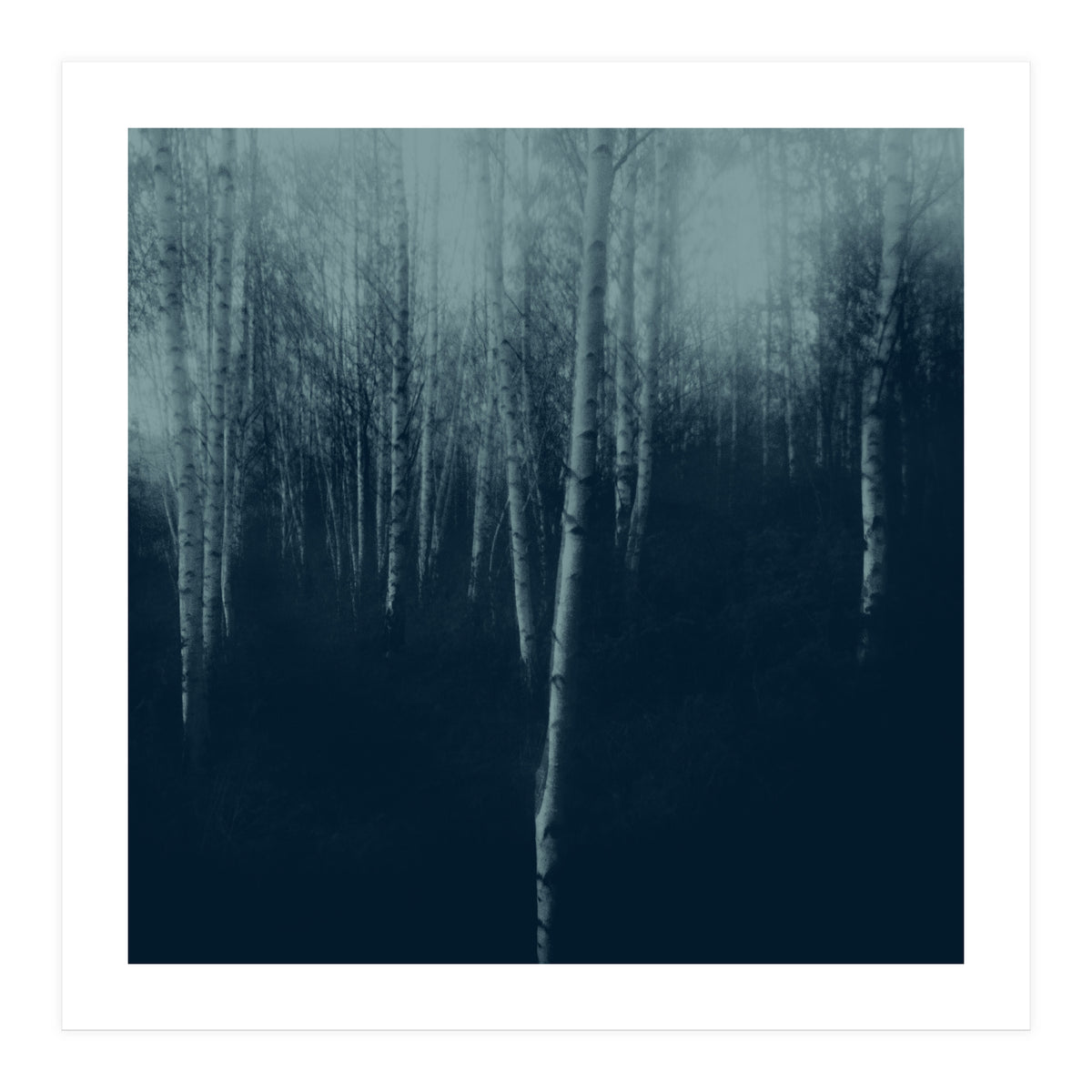 deep veins I (Print Only)