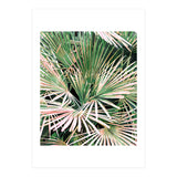 Palms II (Print Only) thumbnail
