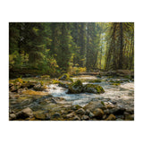 Cascade River (Print Only) thumbnail