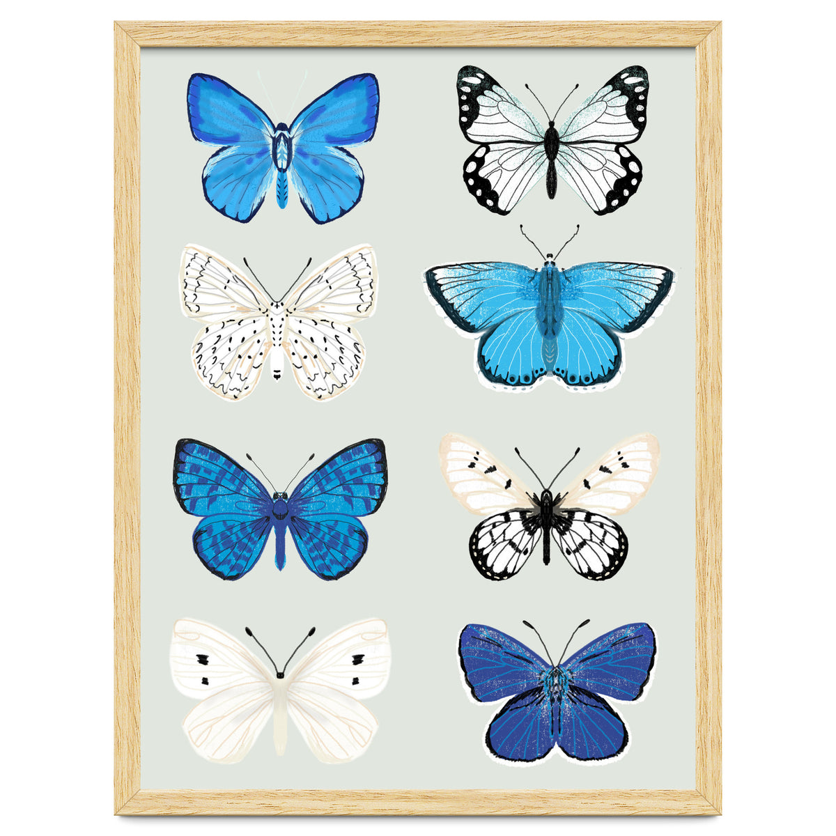 Lepidoptery Study No. 3