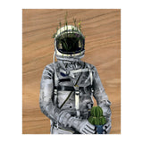 Cacti (Print Only) thumbnail