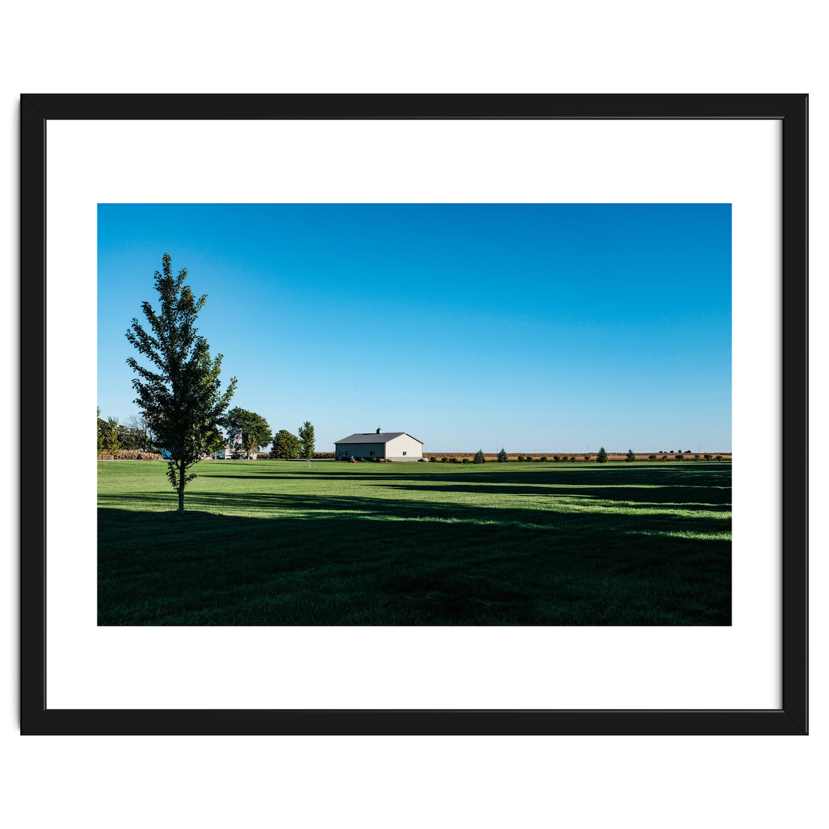 Summer evening, rural Illinois
