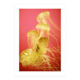 Jelly #7  (Print Only) thumbnail