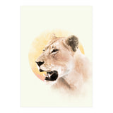 Lioness (Print Only) thumbnail