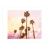 Coconut Groove (Print Only) thumbnail