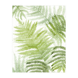 Samambaia  (Print Only) thumbnail