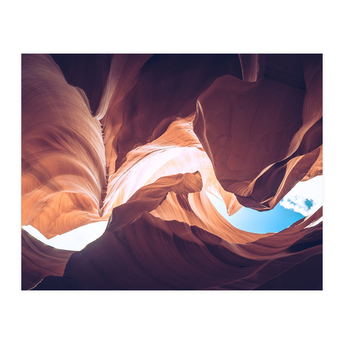 Twisted (Print Only)