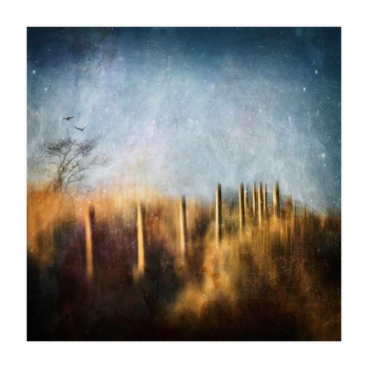 Those Beating Wings (Print Only)