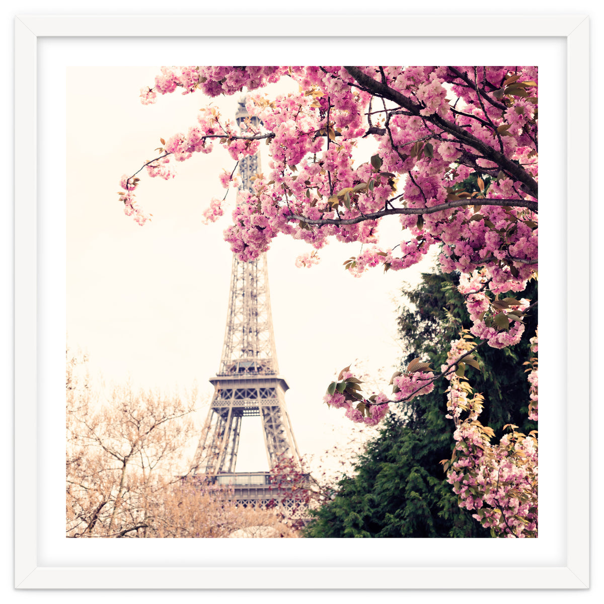 Paris in the Spring