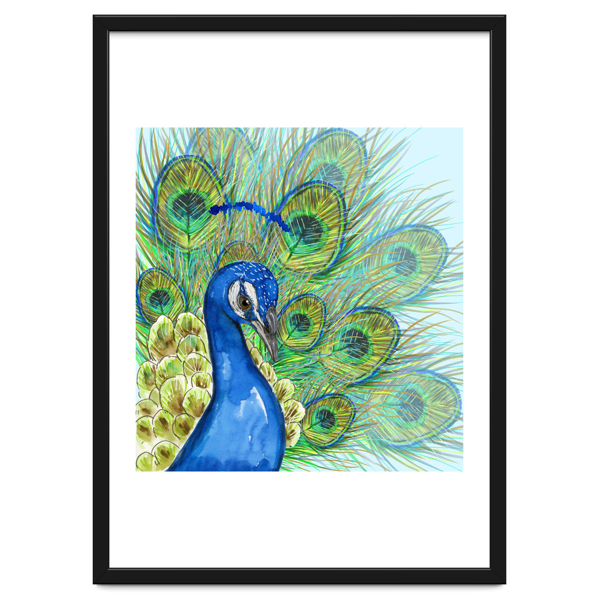 Peacock portrait