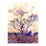 Lonely Tree II (Print Only) thumbnail