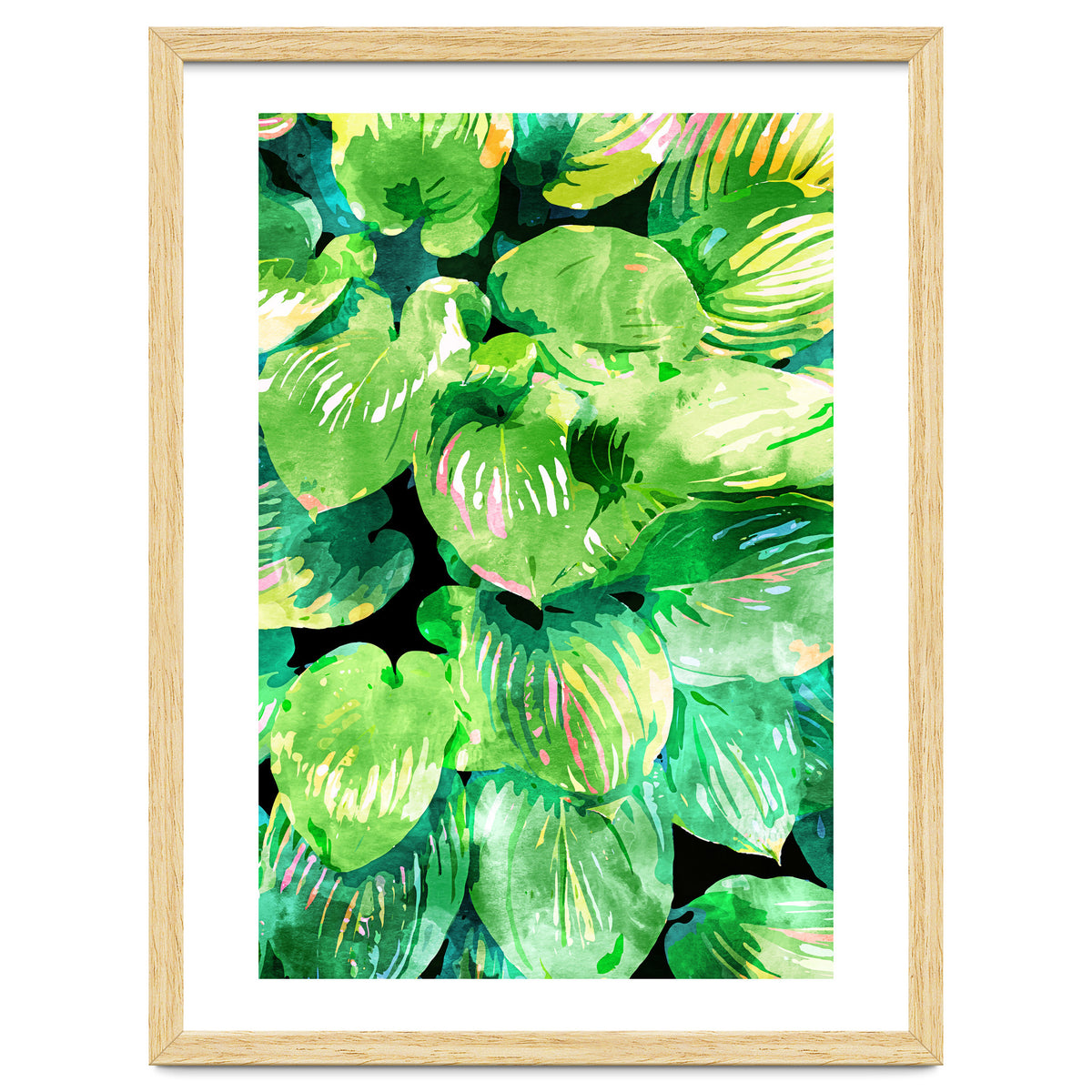 Colors Of The Jungle