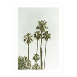 Palm Trees Summertime  (Print Only) thumbnail