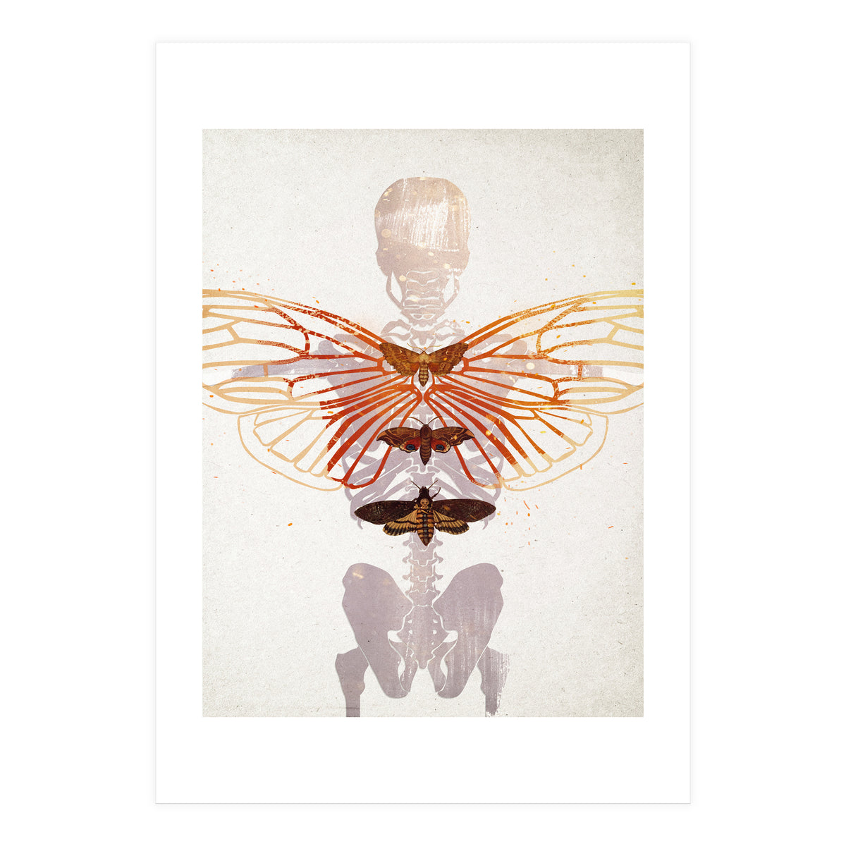 Ikarus - Like a Moth to the Flame (Print Only)