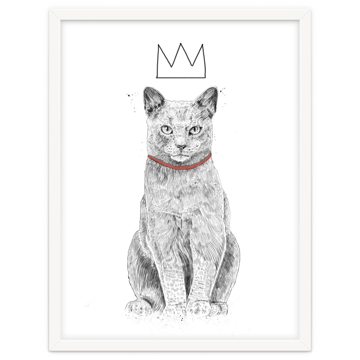 King Of Everything (bw)