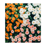 In My Garden (Print Only) thumbnail