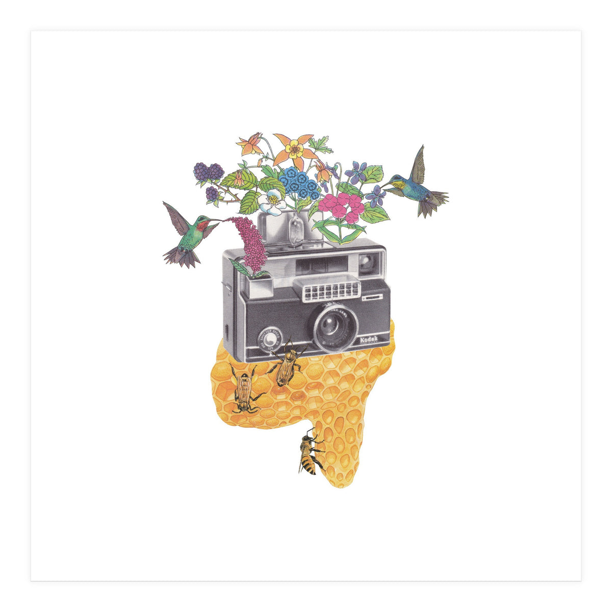 Vintage Camera (Print Only)