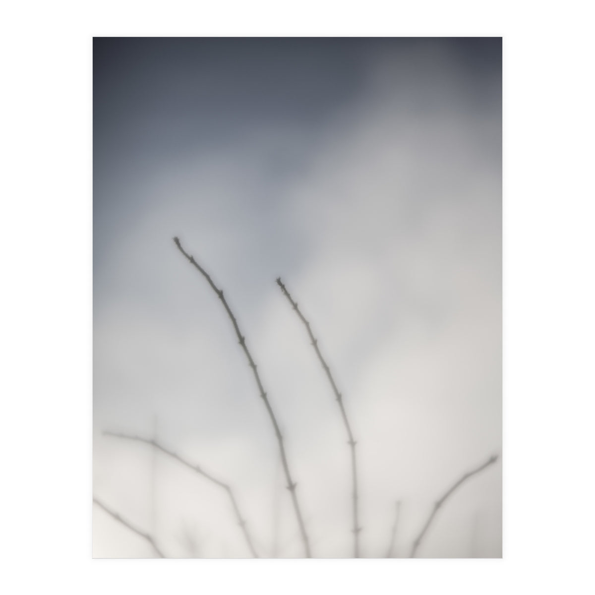 Forgotten Memories of summer #18 (Print Only)