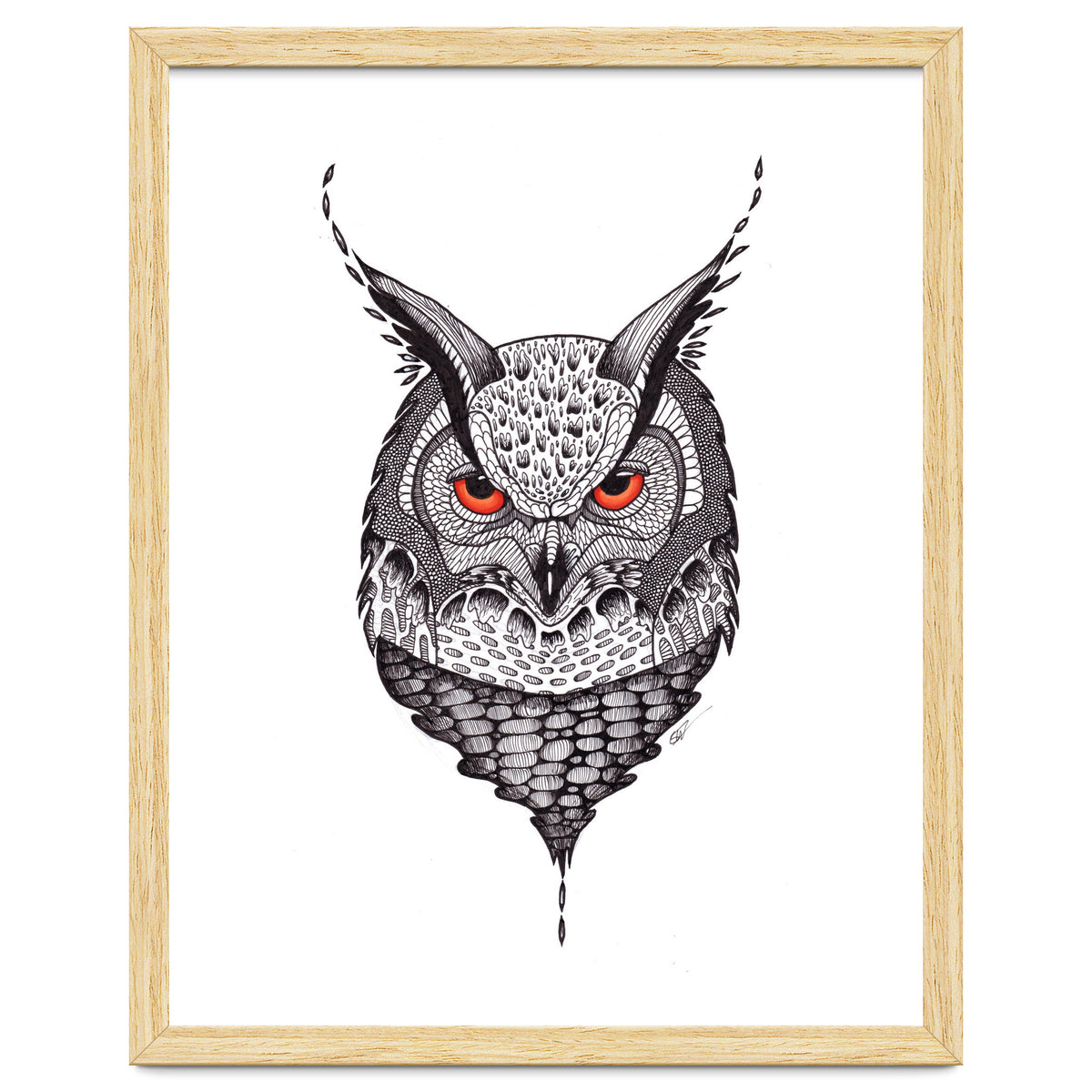 Owl