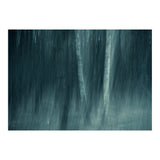 spell (Print Only) thumbnail