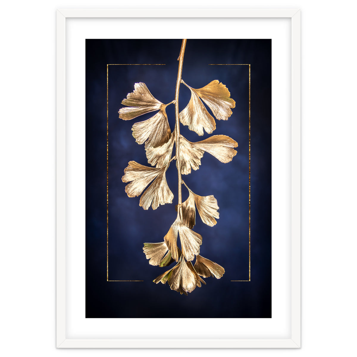 Golden Gingko Tree