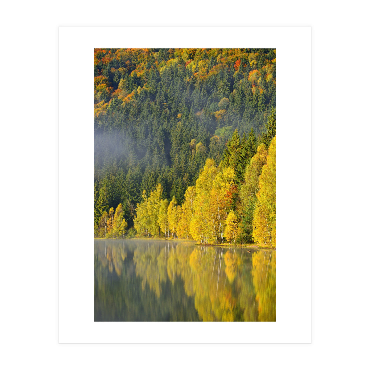 LAKE IN FOREST (Print Only)