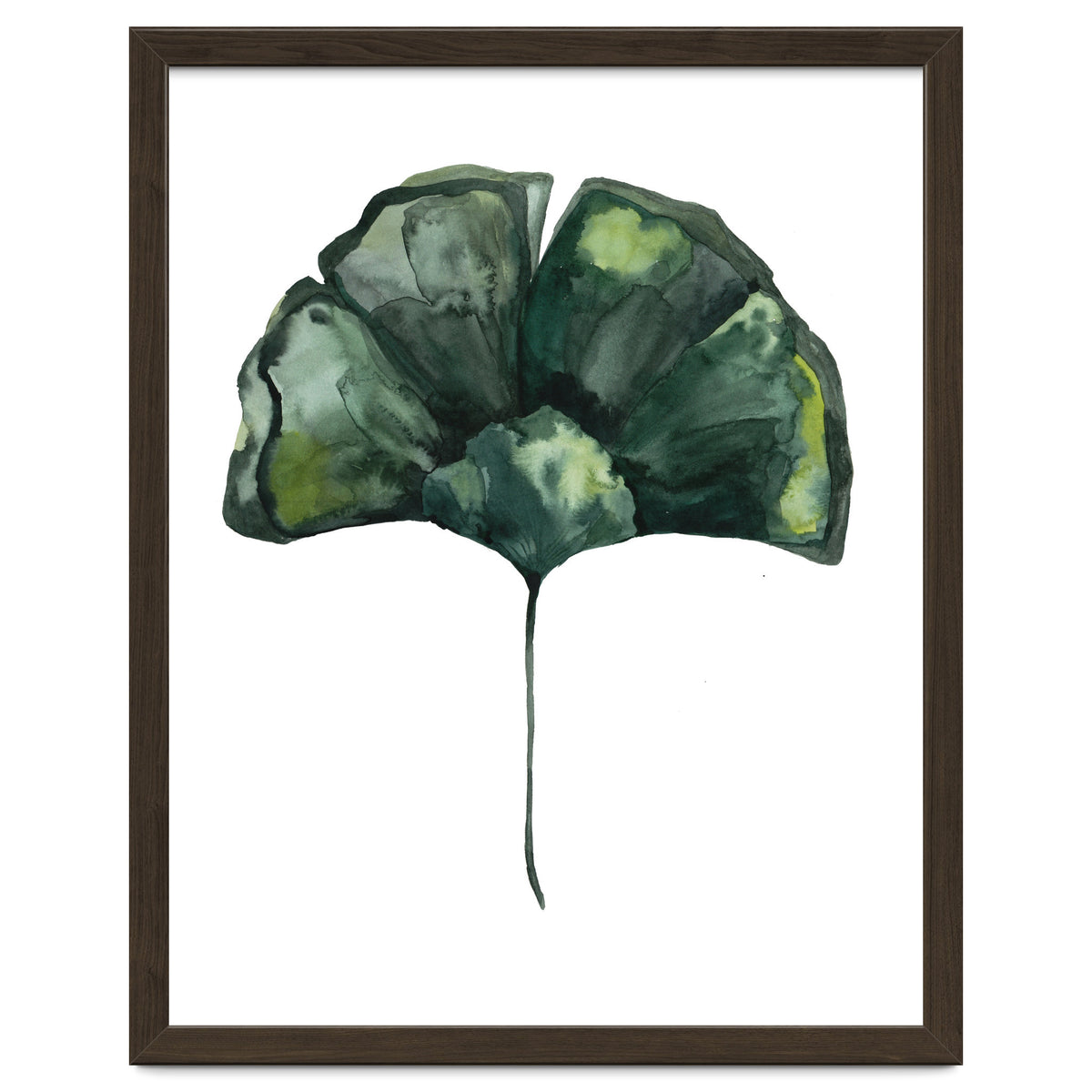 Botanical Illustration Ginko