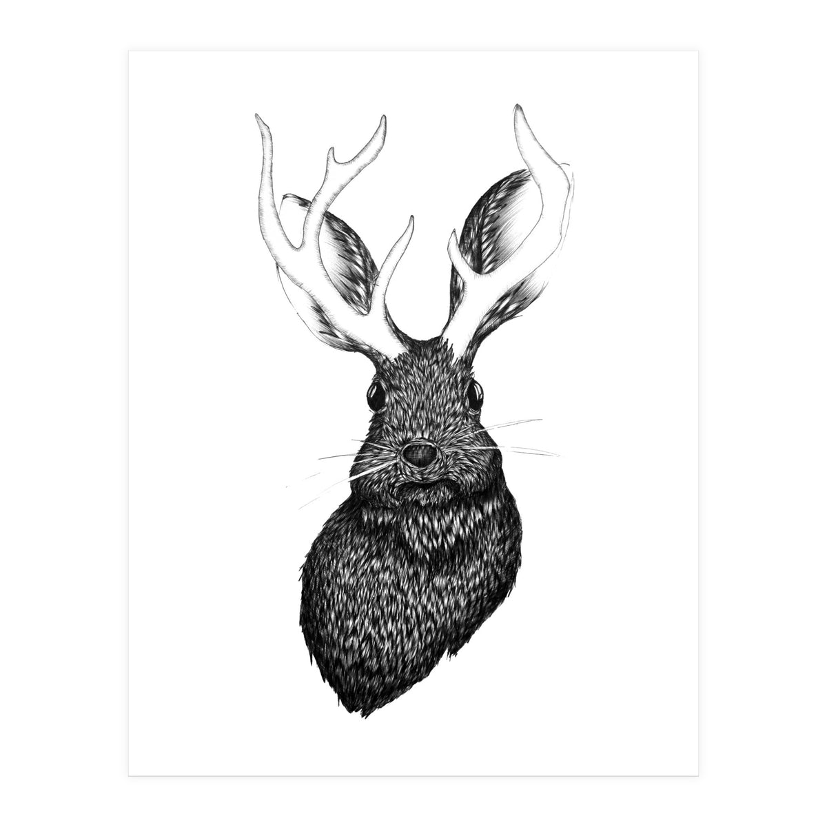 Jackalope  (Print Only)