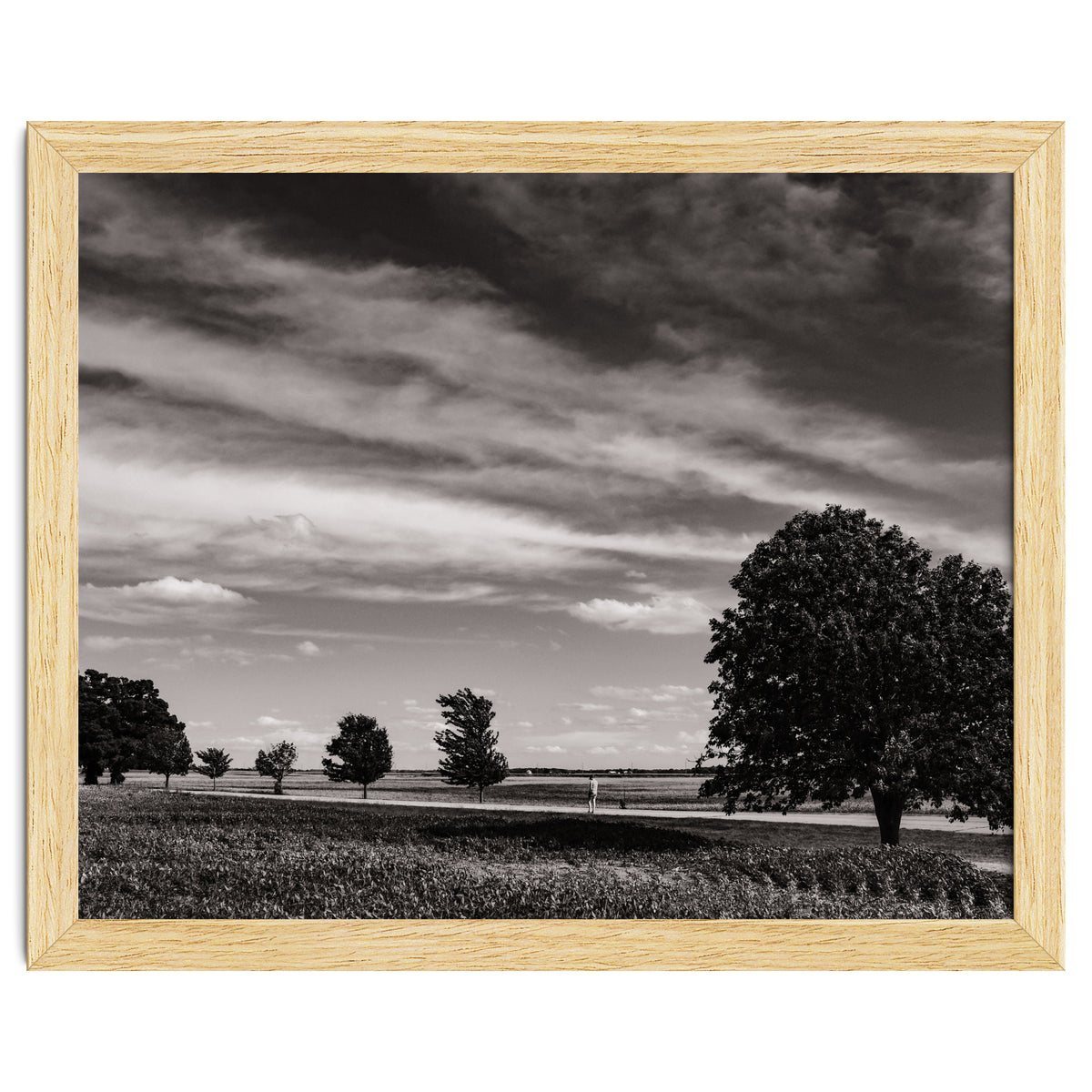Country Road, Illinois