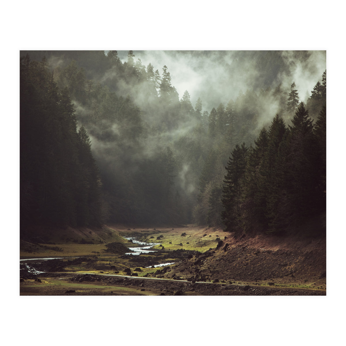 Foggy Forest Creek (Print Only)