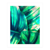 Moksha (Print Only) thumbnail