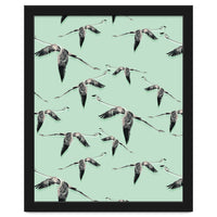 Flight of flamingos