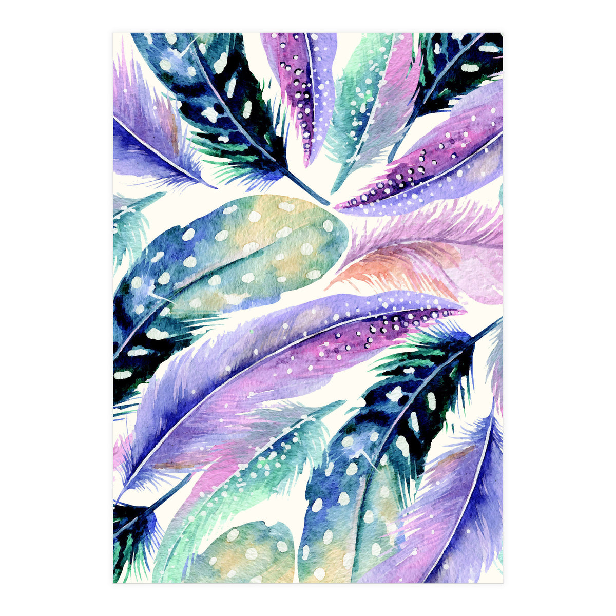 Wild Feathers (Print Only)