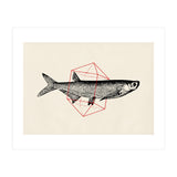 Fish In Geometrics II (Print Only) thumbnail