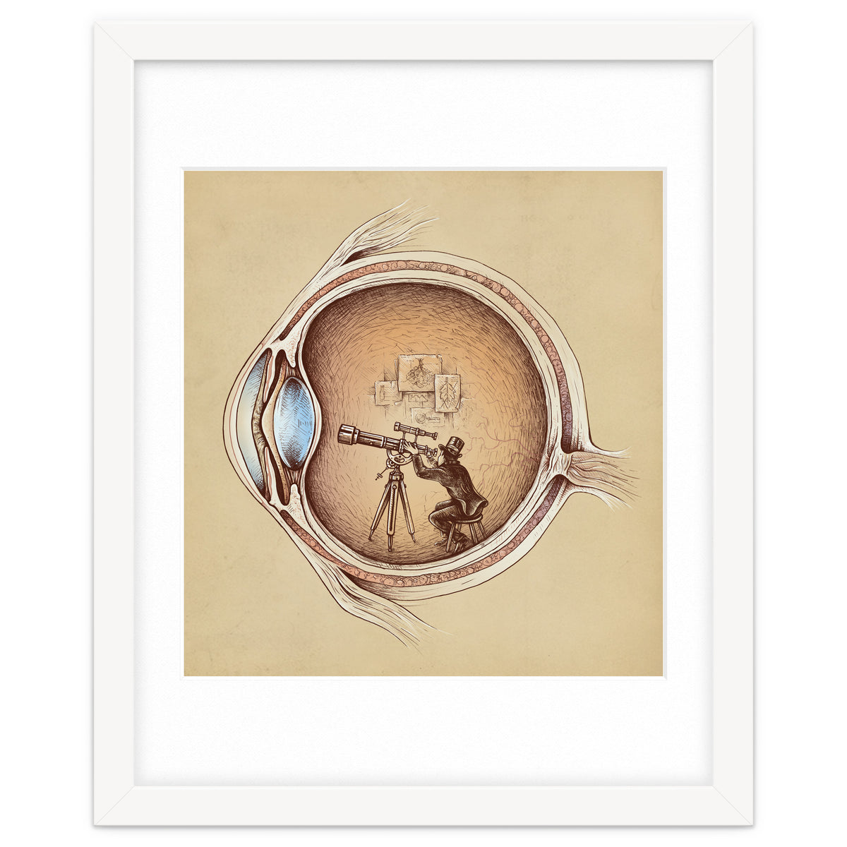 Extraordinary Observer