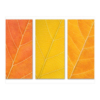 Autumn Leaves (Print Only)