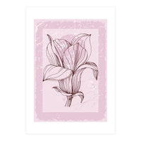 Magnolia - Minimal Contemporary Botanical Floral (Print Only)