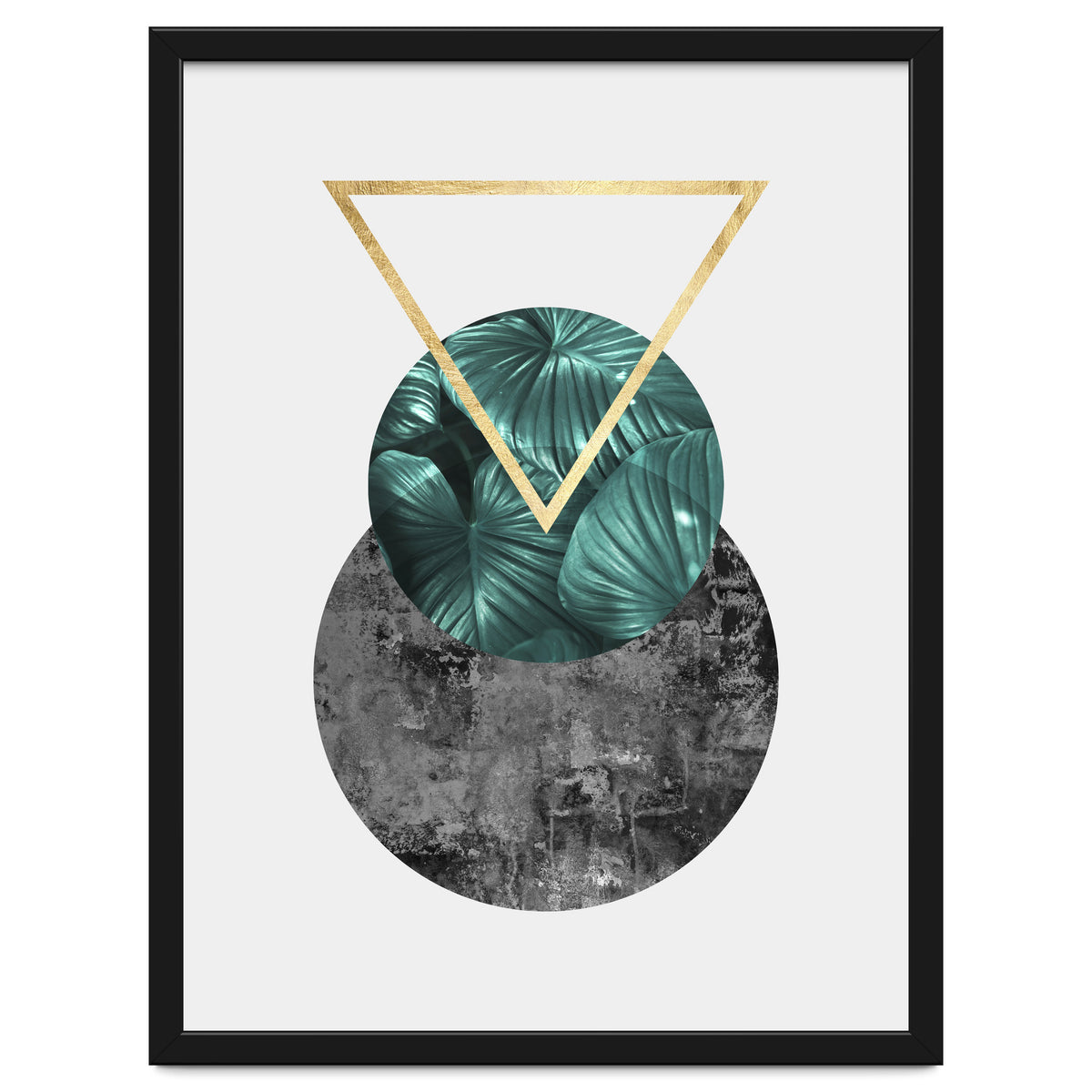 Botanical and geometric I