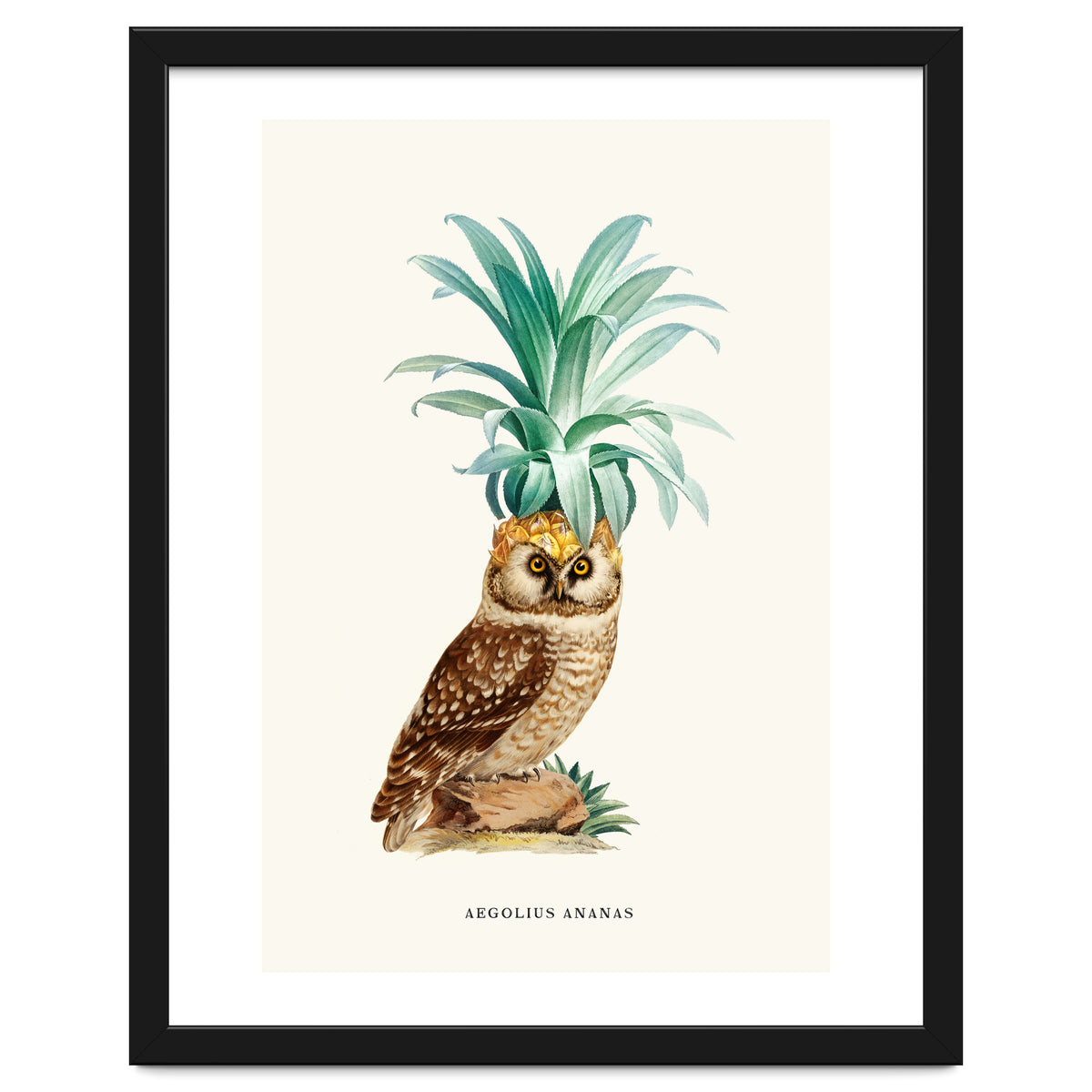 Pineapple Owl Vintage