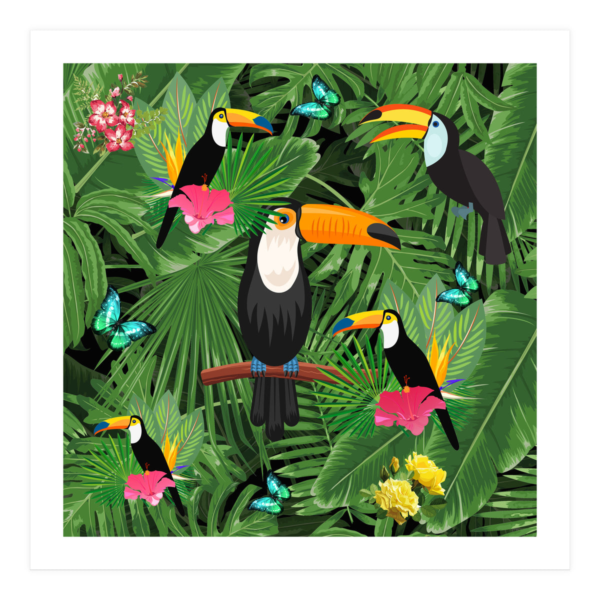 Toucan (Print Only)