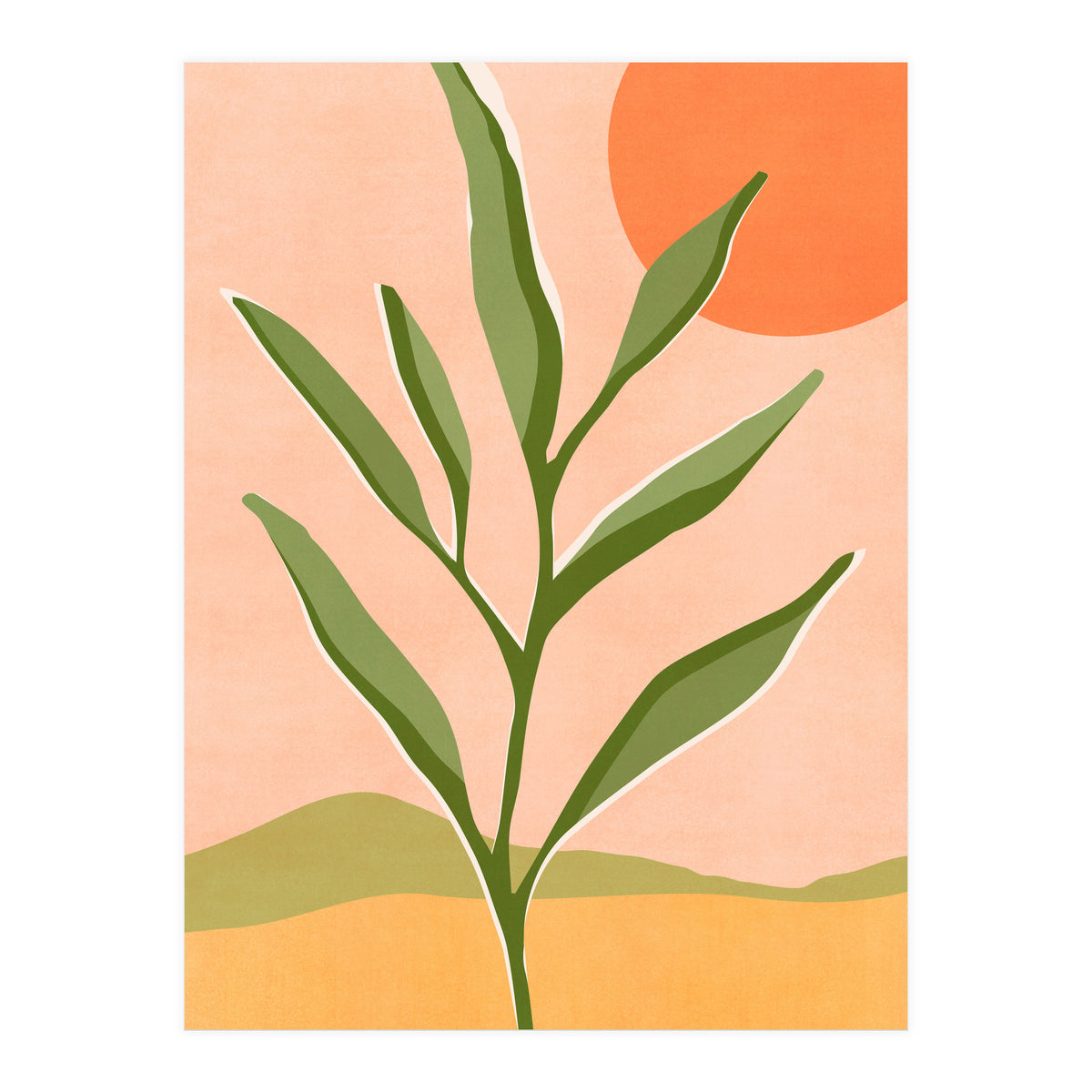 The Sun and The Succulent (Print Only)