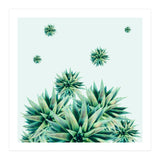 Tropical Stars (Print Only) thumbnail