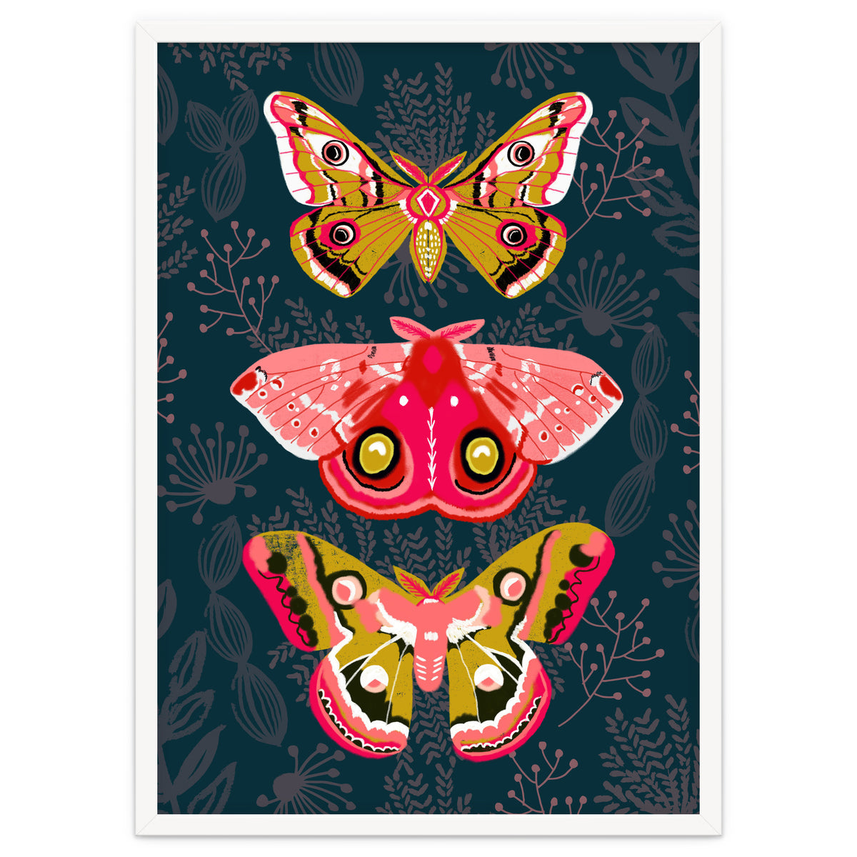 Lepidoptery Study No. 4