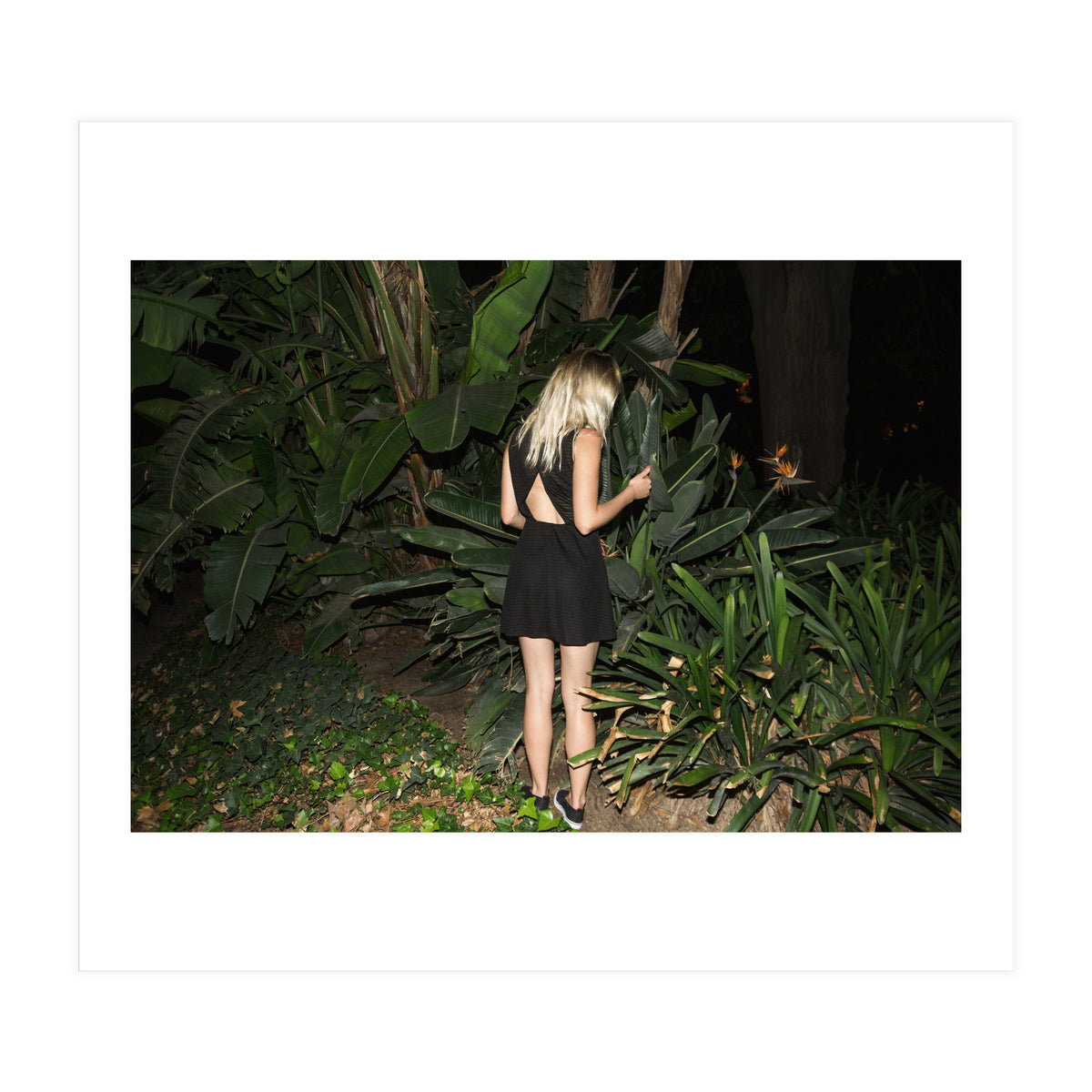 Hiding Game (Print Only)