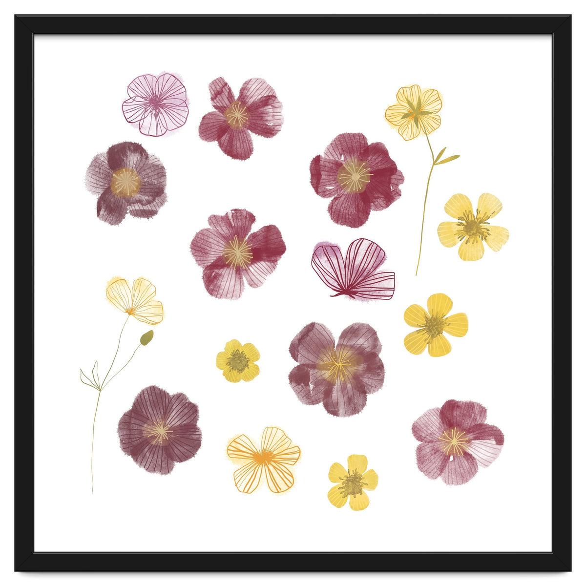 Pressed Flowers