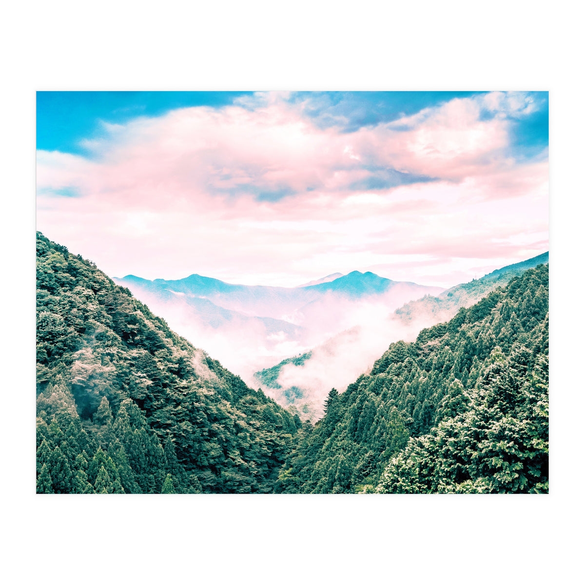 The View Ii (Print Only)