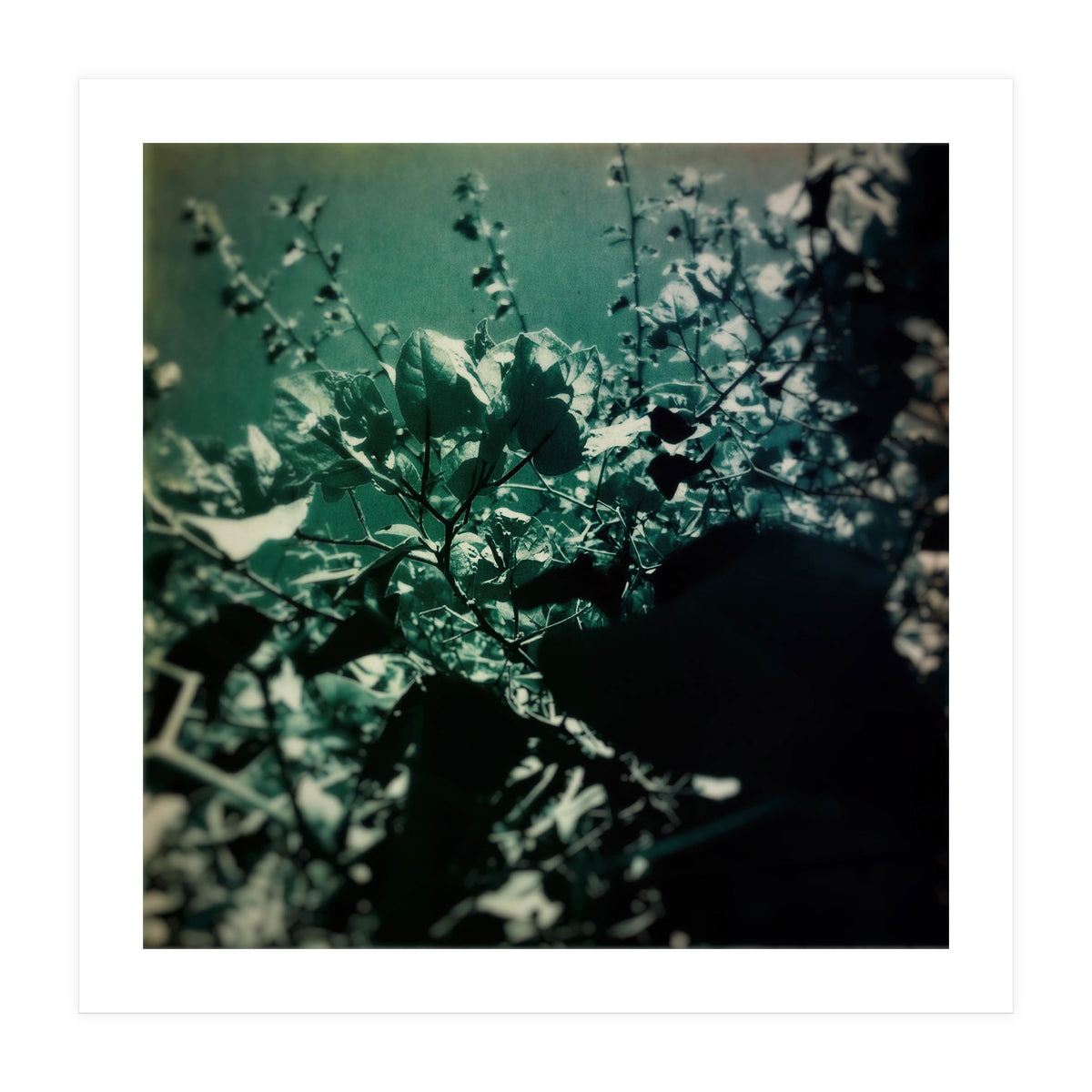 GREEN POEM (Print Only)