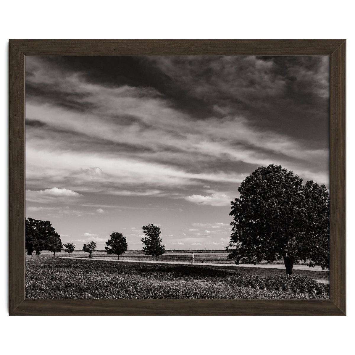 Country Road, Illinois